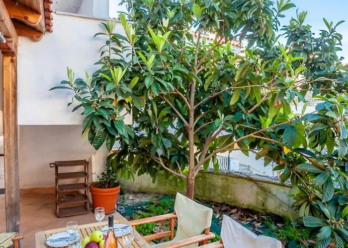 Alex 佩科霍里